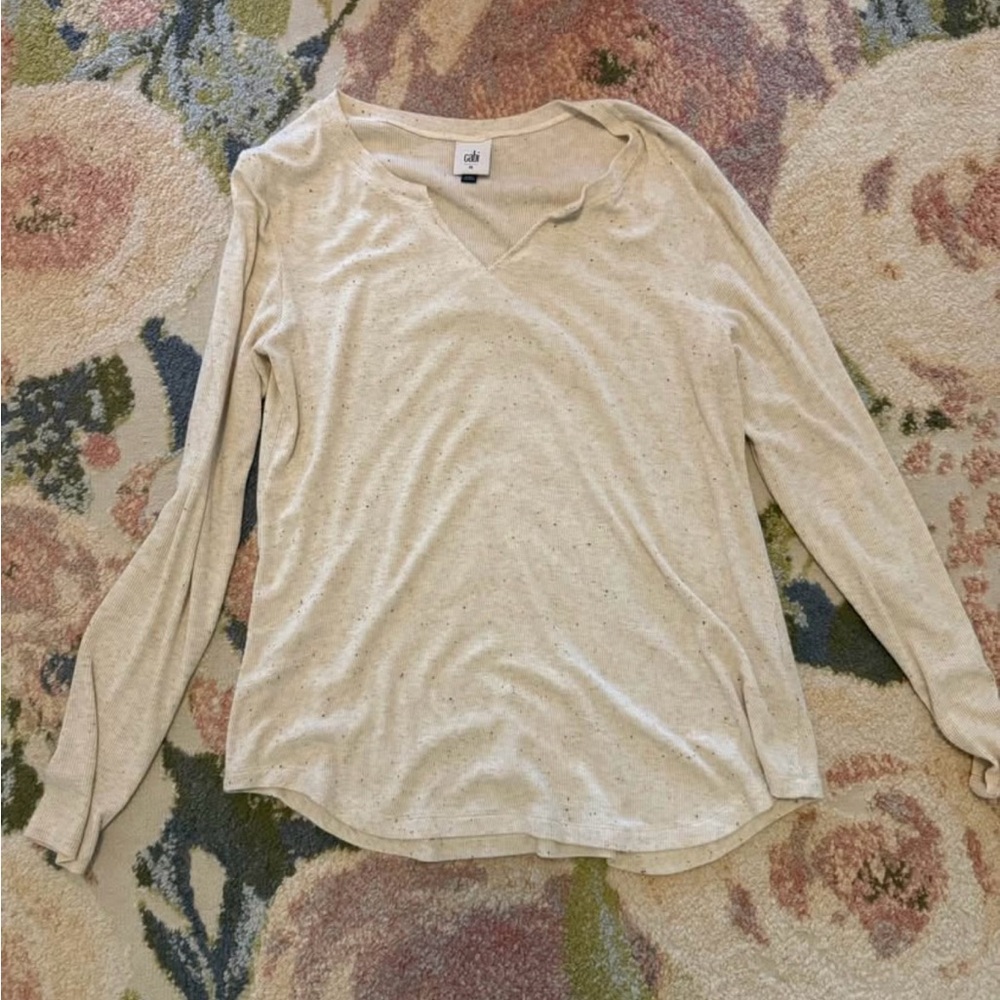 CAbi Brown and Cream Relaxed Long Sleeve Tee